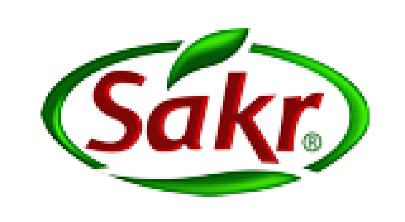 Sakr Group